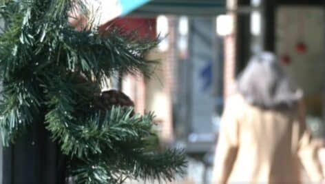 A sidewalk Christmas tree decoration in Media Borough as shoppers hit the stores for Small Business Saturday.