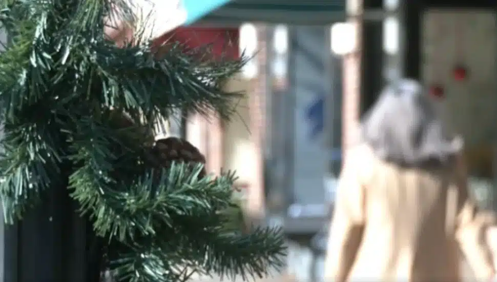 A sidewalk Christmas tree decoration in Media Borough as shoppers hit the stores for Small Business Saturday.
