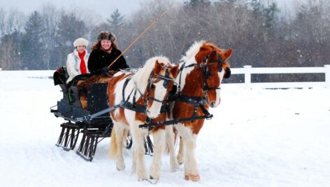 A man and woman lead a horse-drawn sleigh through the snow.