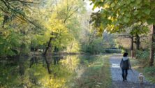 A woman walks her dog along a river trail.