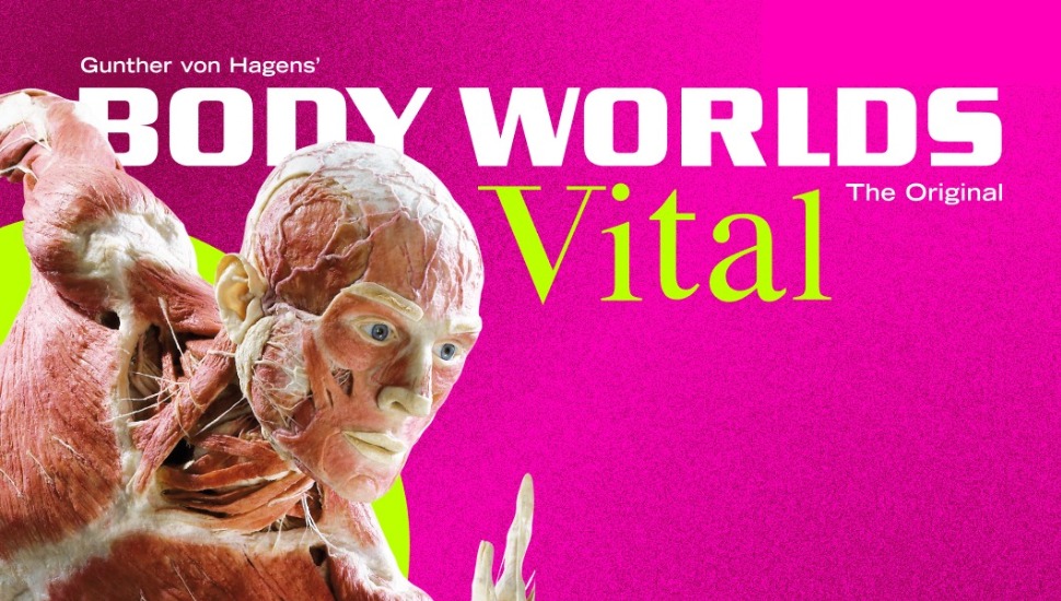 A Body Worlds promotion from the Franklin Institute.