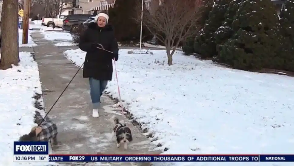 A dog owner walks her dog in a Prospect Park neighborhood.