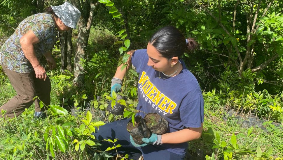 Jenna Waldron holds three small tree saplings in her arms with the Costa Rican jungle behind her.