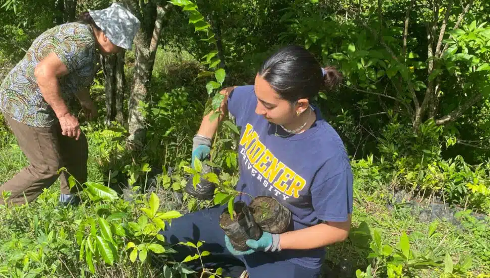 Jenna Waldron holds three small tree saplings in her arms with the Costa Rican jungle behind her.