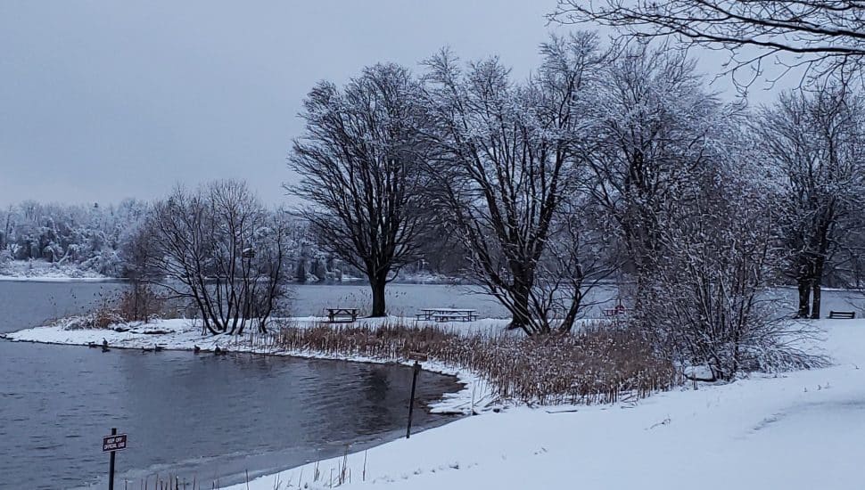 A snow-covered winter scene at Marsh Creek State Park.