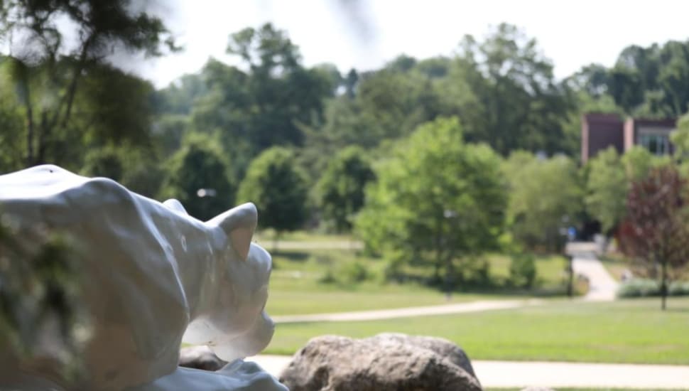A statue of the Nittany Lion at Penn State Brandywine in Media.