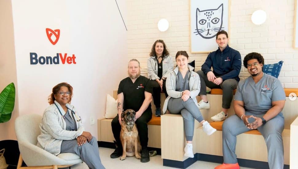 The staff of Bond Vet gather at the Narberth pet urgent care clinic.