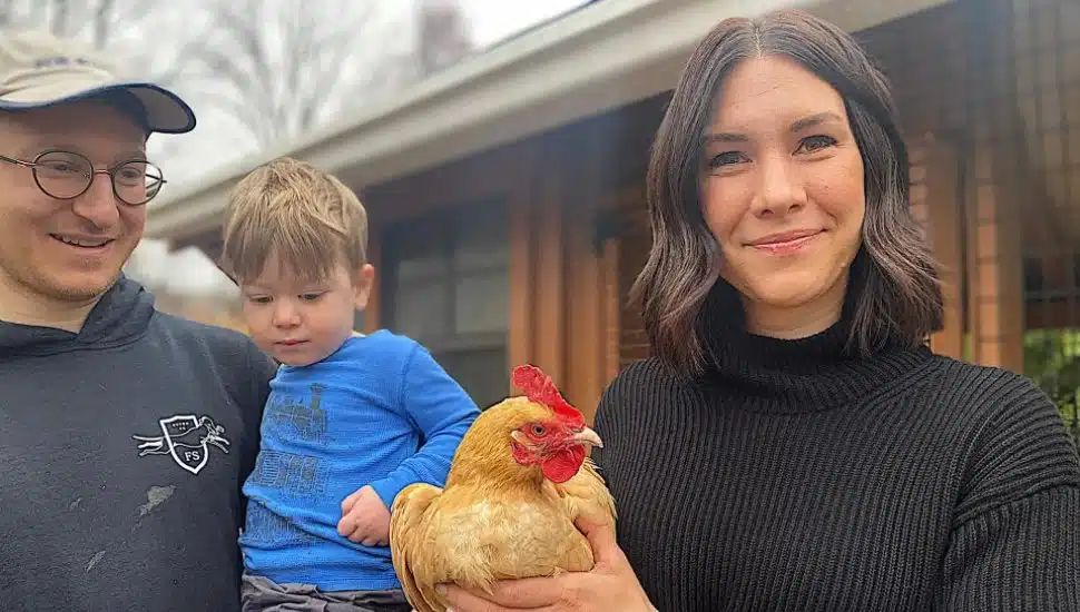 Aston Family Ends Up Playing Chicken With Local Ordinance