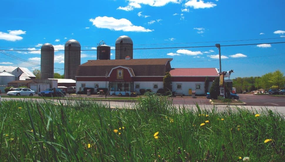 Freddy Hill Farms in Lansdale