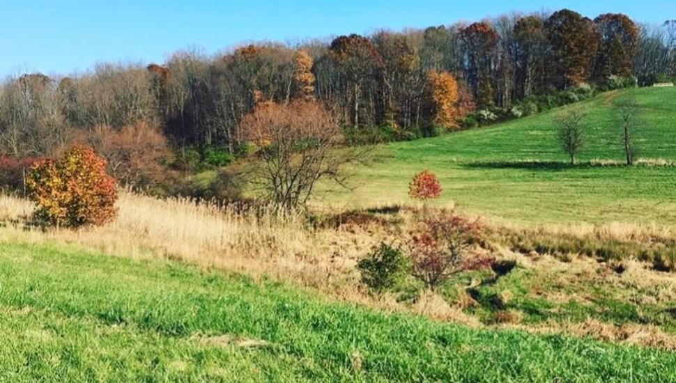 The Okehocking Preserve outside Newtown Square in Chester County.