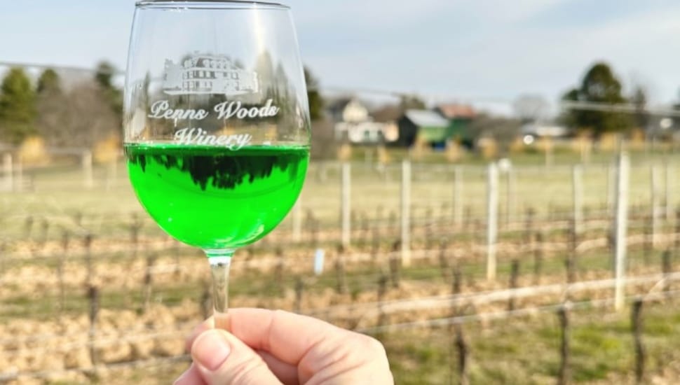 A hand holds a glass of Penns Woods Winery wine out in the vineyard.