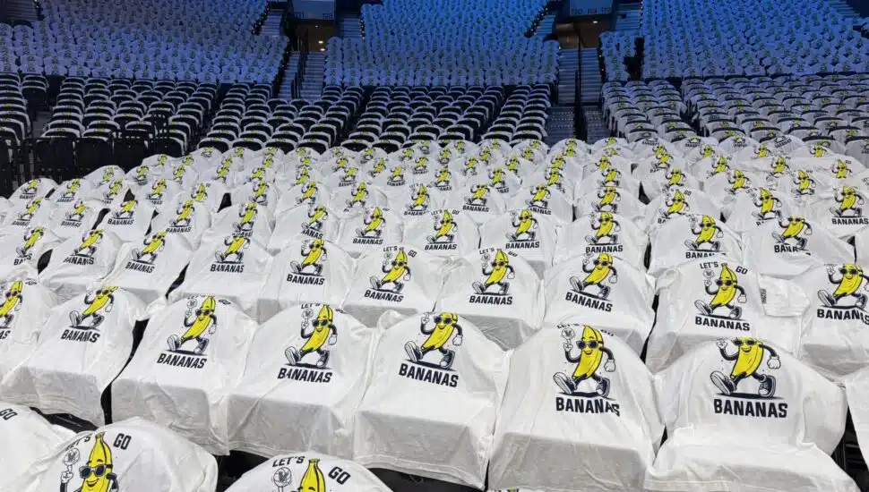 Reserved seating at a Wildcats game for Villanova fans in banana costumes.