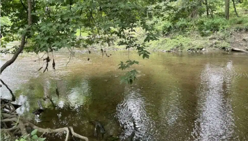 Part of the open land tract purchased by Chester Heights.