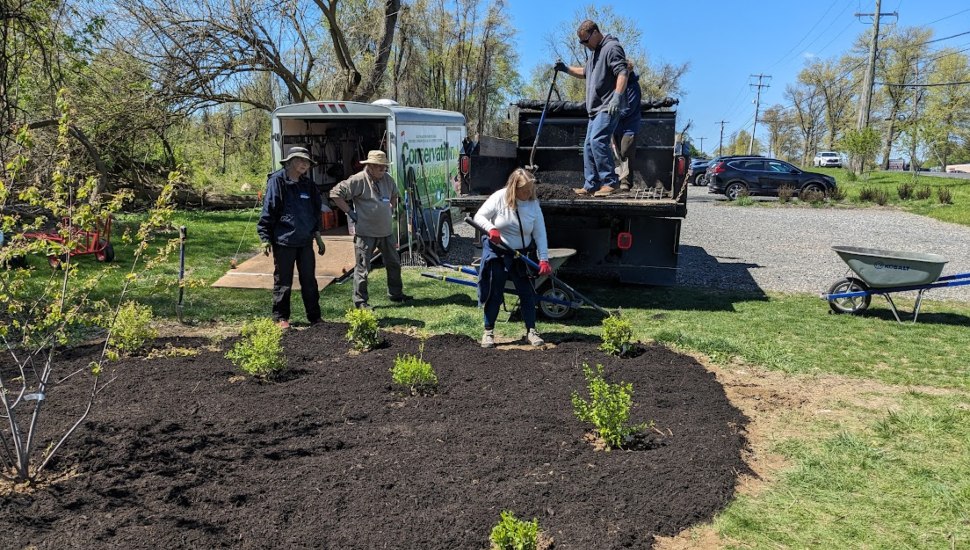 Volunteers create a new bed of native plantings next to the Delco Woods parking lot in Marple.