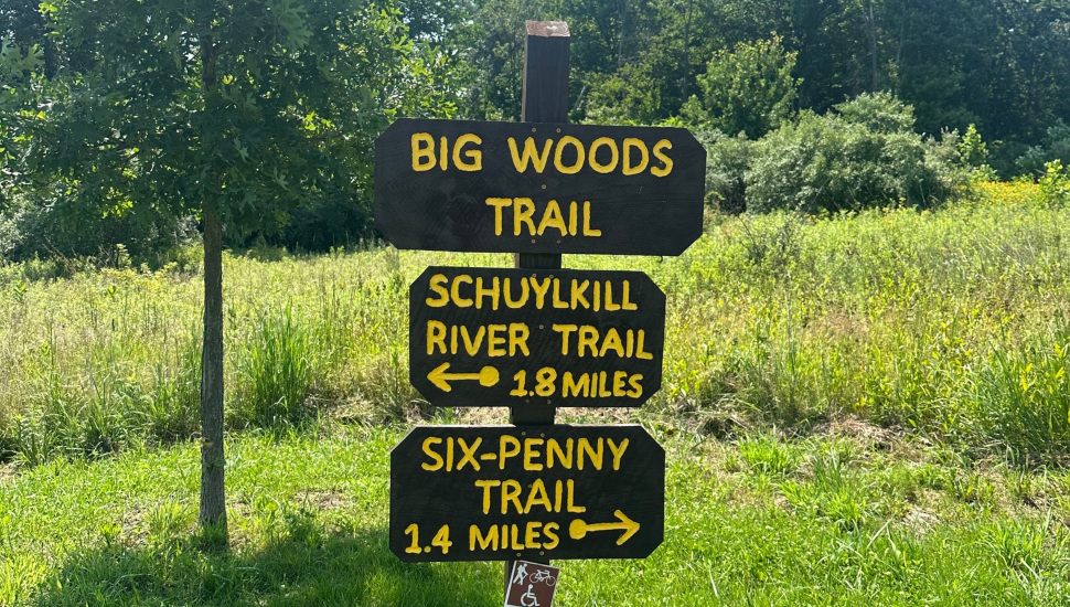 A wooden sign in French Creek State Park pointing the way to three different trails.