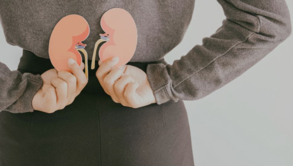 A woman has her hands behind her back holding two images of kidneys.