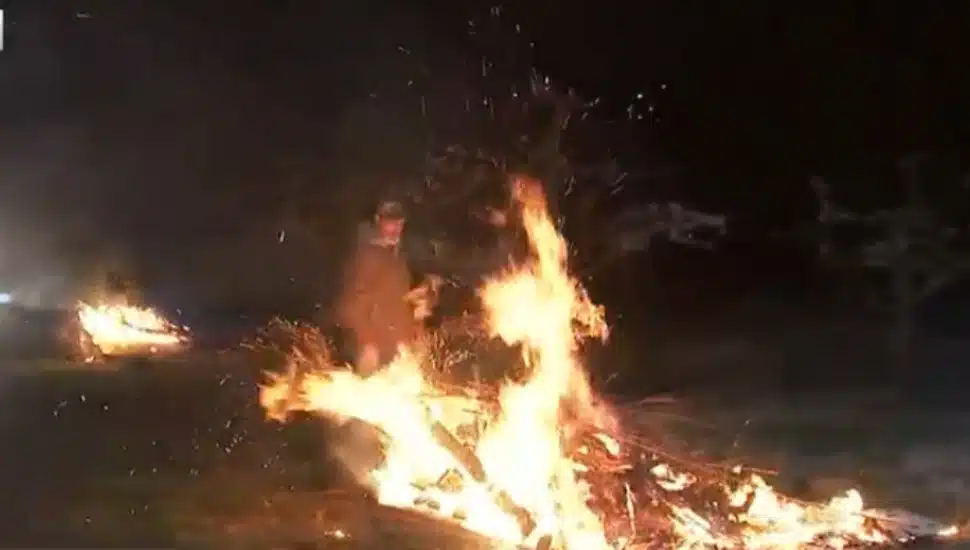 Linvilla Starts Fires to Keep Peaches Safe From a Spring Freeze