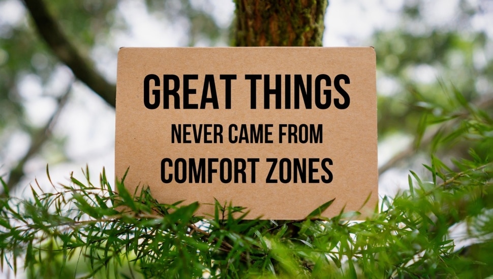 Motivational quote on cardboard sitting in nature.