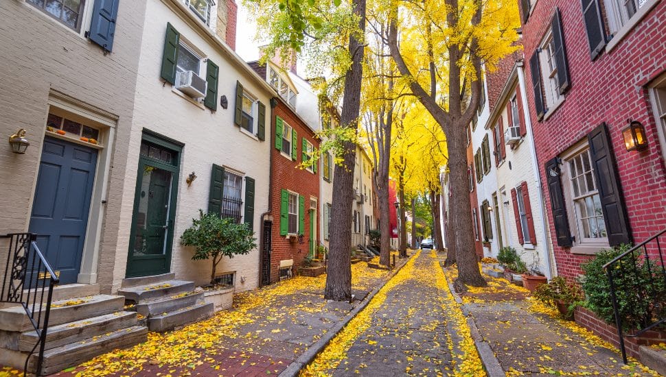 A quiet leave-strewn street and homes in Philadelphia.