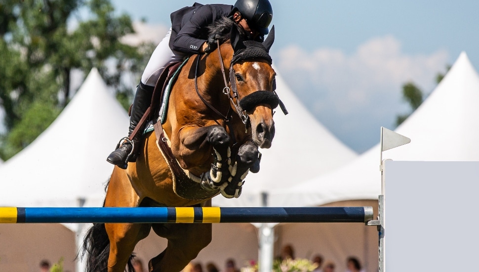 A horse and rider jump over a hurdle.
