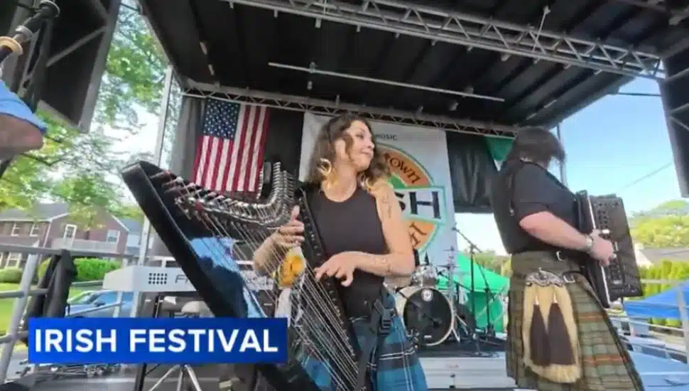 A band member plays the harp on the main stage at the Havertown Irish Festival Saturday.