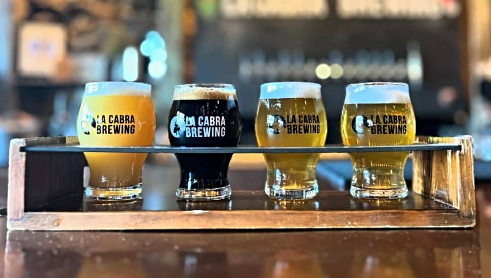 Four beers in glasses lined up on a counter at La Cabra Brewing.