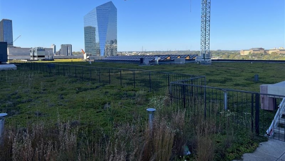 View of vegetation on green roof of skyscraper.