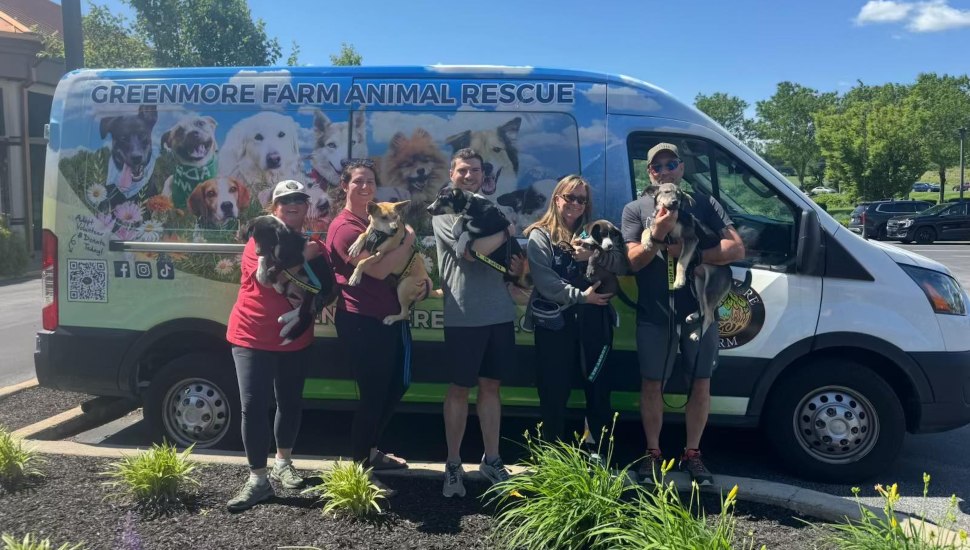 People stand outside a van at the Greenmore Farm Animal Rescue.
