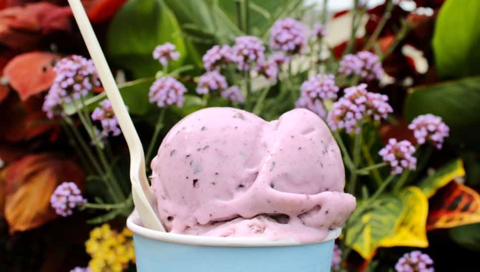 Two Bucks County Ice Cream Shops Make Inquirer’s Best-Of List