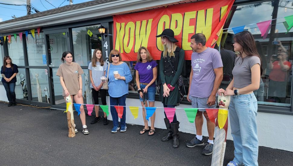 A grand opening at the MeWow Cat Cafe in Doylestown.
