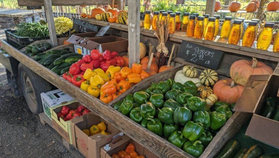 A vegetable stand with fresh vegetables at SIW Vegetables.
