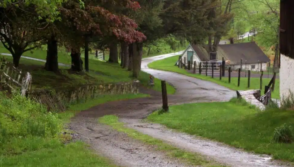 A driveway at the Kuerner Farm in Chadds Ford.