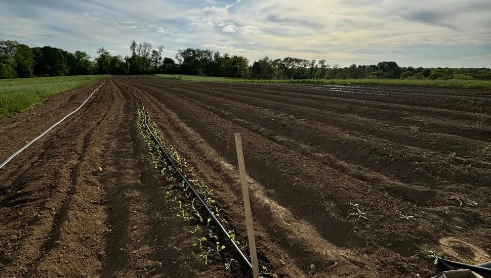 A plowed field