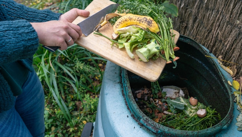Someone throws vegetable remains into a composter.