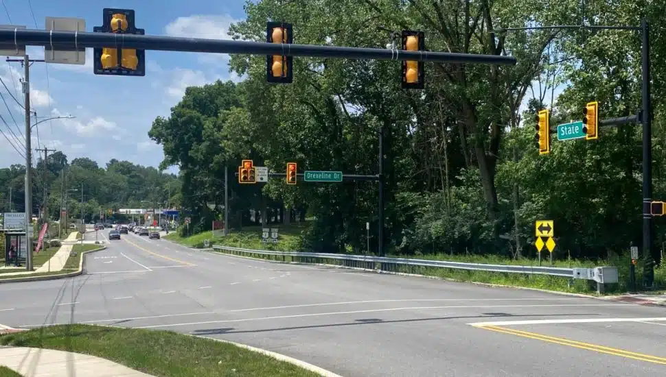 A wooded undeveloped property at State and Township Line roads.
