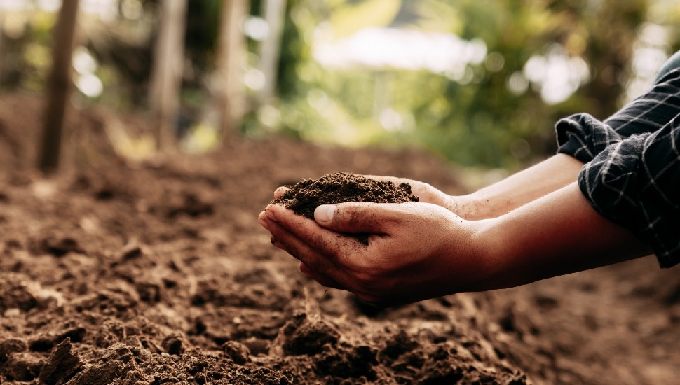 Human remains composting.