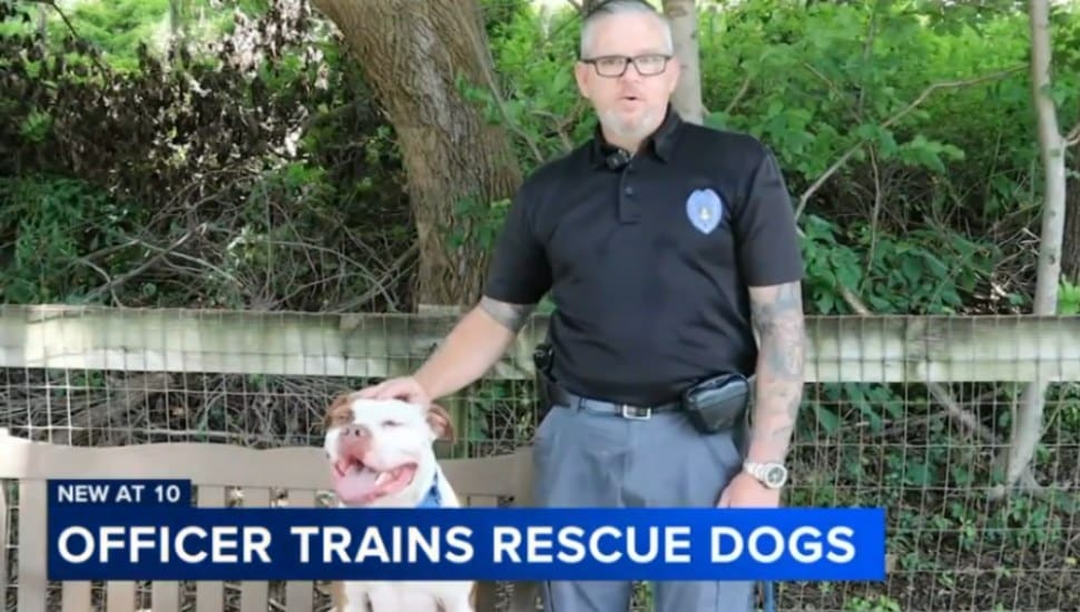 Trainer Borough Police Officer Rick Jones with a pit bull from Main Line Animal Rescue.