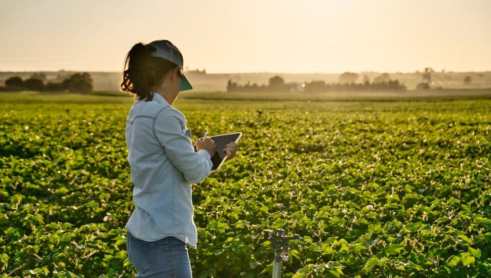 A woman stands in a field.