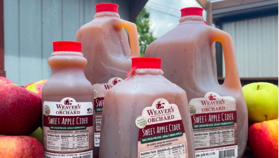 Jugs of Weaver's Orchard cider next to some fresh-picked apples.