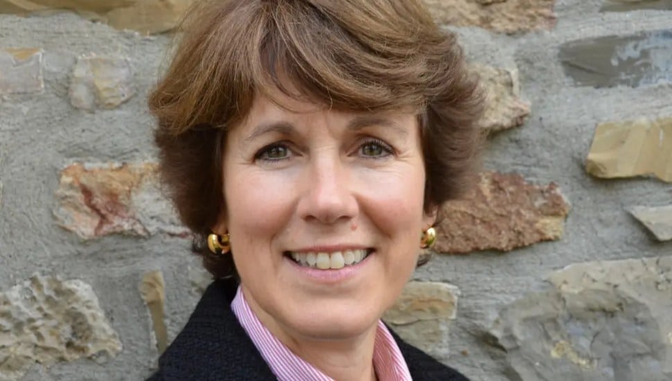 Donna Jamison Cave, new CEO at Peddler's Village.
