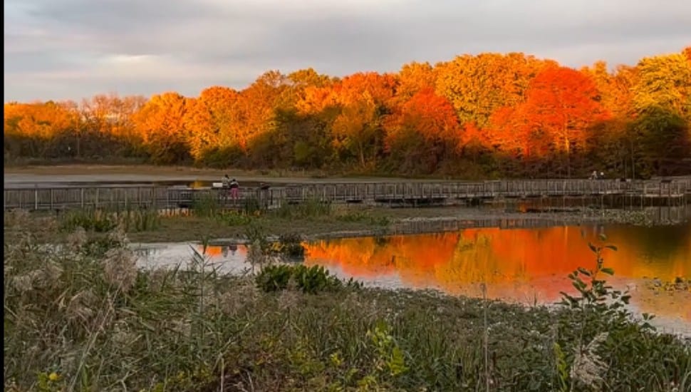 The John Heinz Wildlife Refuge in autumn.