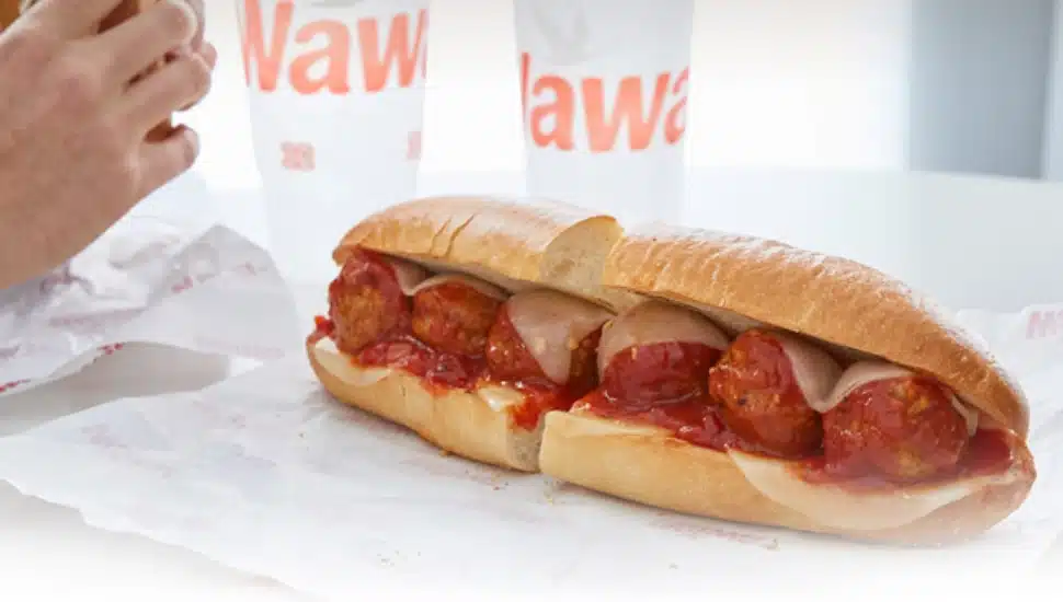 14 Wawa Hoagies Later, and This One Rose Above Them All