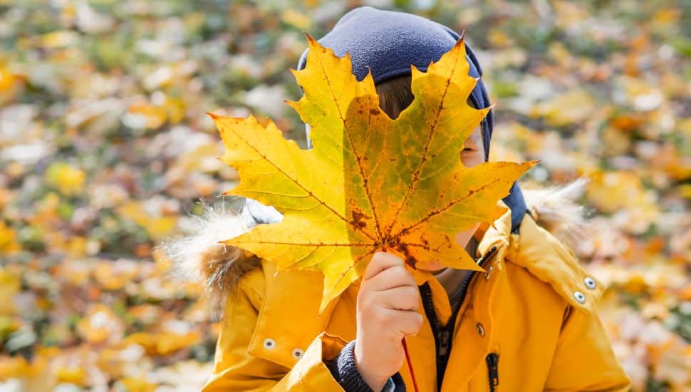 Kids in leaves.