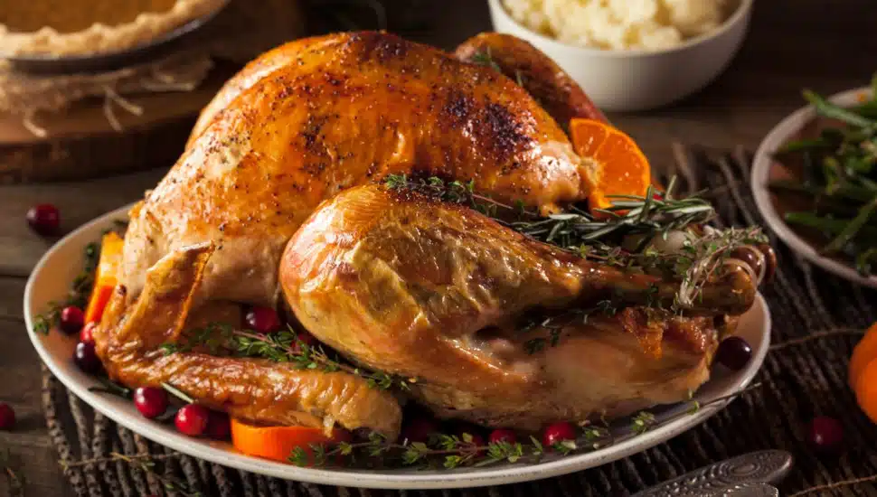 A roasted Thanksgiving turkey.