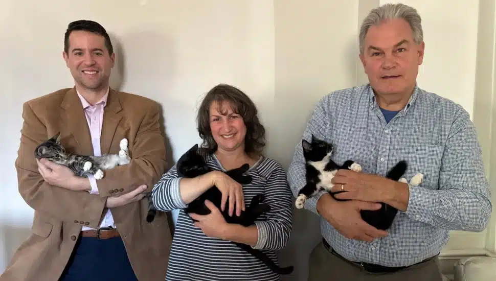 District Judge Lee Grives (left), Lisa Small and her husband Richard Small, hold cats that have been rescued from the streets.
