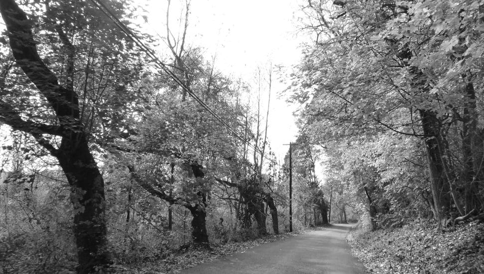 Devils Road.