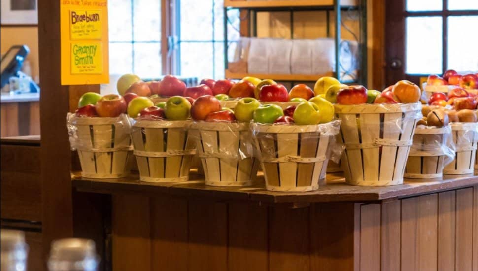 Bushels of apples in buckets sit on a table.
