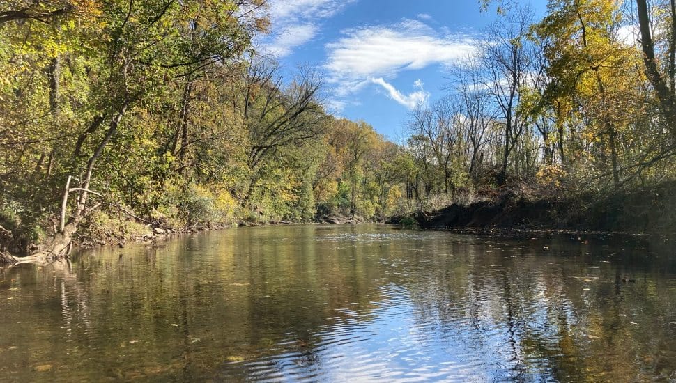 The ChesLen Preserve with a view of the creek.