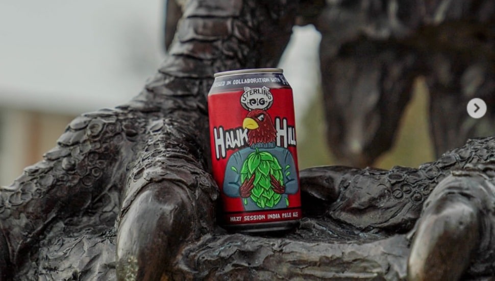 A colorful can of Hawk Hill Hazy Session IPA rests against a tree.