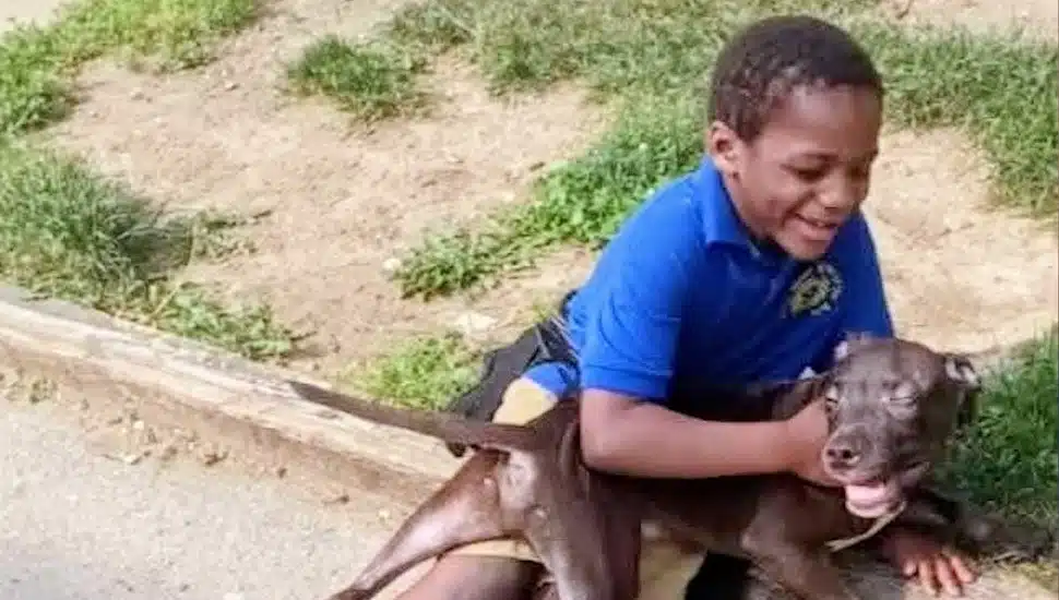 Ny'Leek Ellison, 9, with his do g Adonus.
